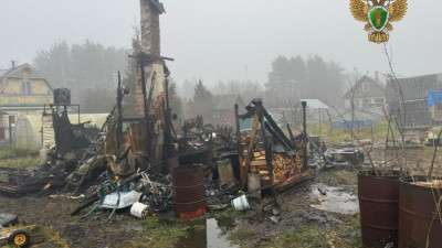 Двое детей и взрослый погибли при пожаре в Ленобласти