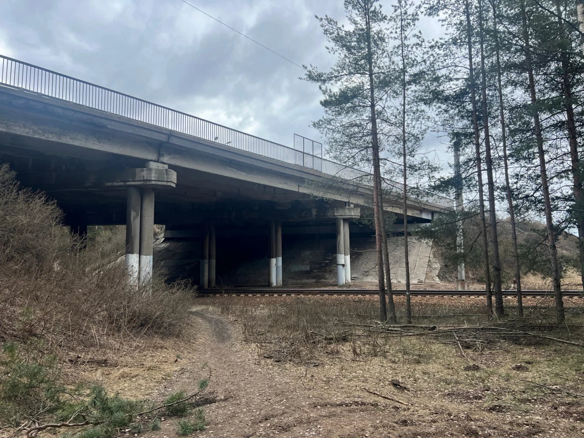 В Курортном районе Санкт-Петербурга начинается капитальный ремонт Рубежного путепровода - tvspb.ru