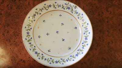 Музею-заповеднику «Павловск» подарили тарелку с редким клеймом Павла I