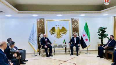 Россия и Сирия расширяют партнерство в медицине и науке