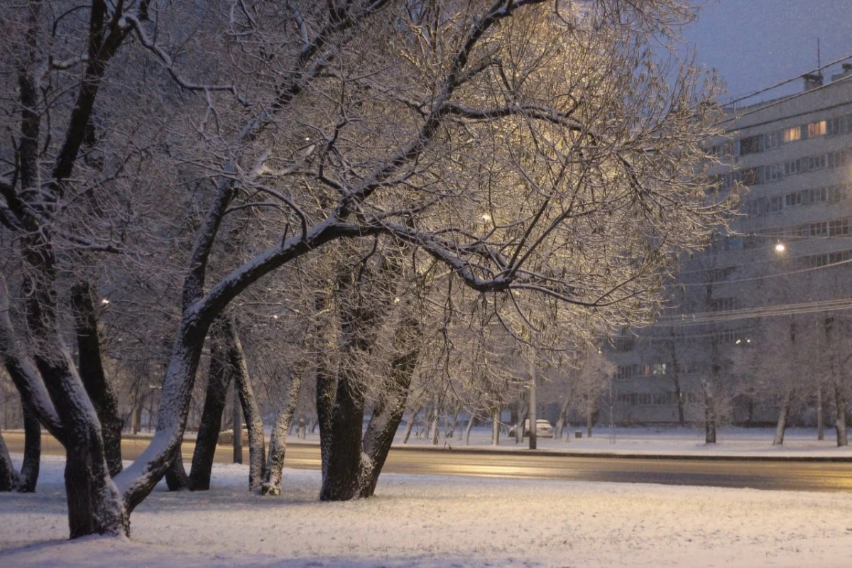Петербургские садовники перешли на зимний режим уборки после первых снегопадов - tvspb.ru
