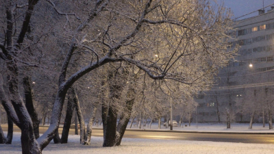 Петербургские садовники перешли на зимний режим уборки после первых снегопадов