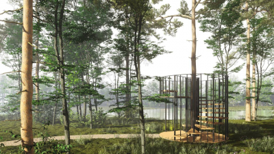 Петербуржцам показали, как может выглядеть экопарк в Ржевском лесопарке