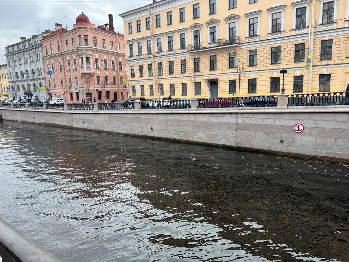 Что изменилось на набережной канала Грибоедова после капремонта - tvspb.ru
