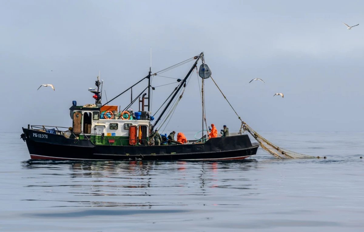 Рыбный план Мишустина: как Дальний Восток накормит всю Россию - tvspb.ru