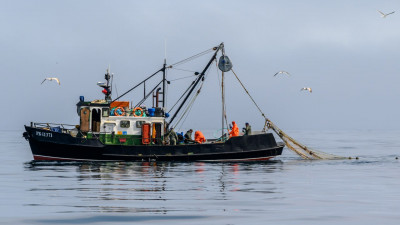 Рыбный план Мишустина: как Дальний Восток накормит всю Россию