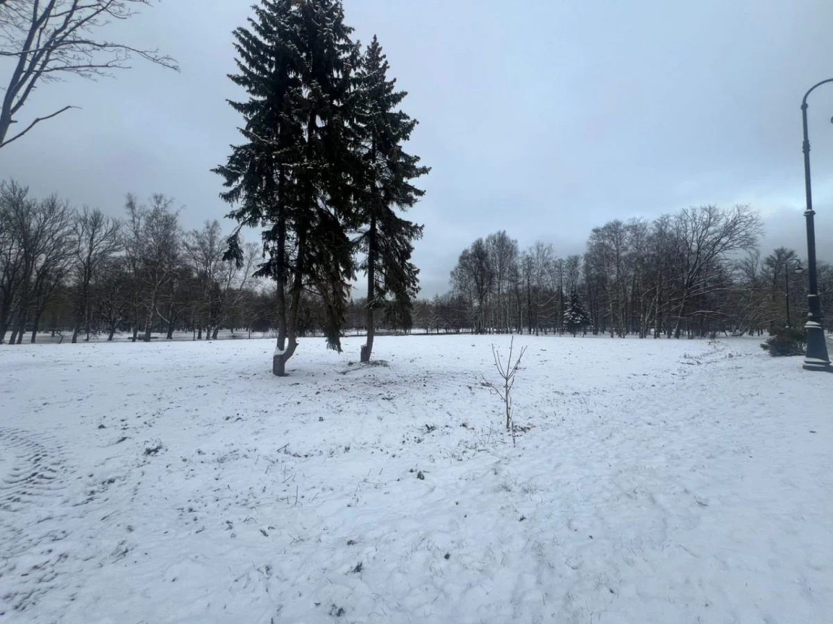 Стало известно, что будет на месте снесенного спорткомплекса в Приморском парке Победы - tvspb.ru