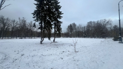 Стало известно, что будет на месте снесенного спорткомплекса в Приморском парке Победы