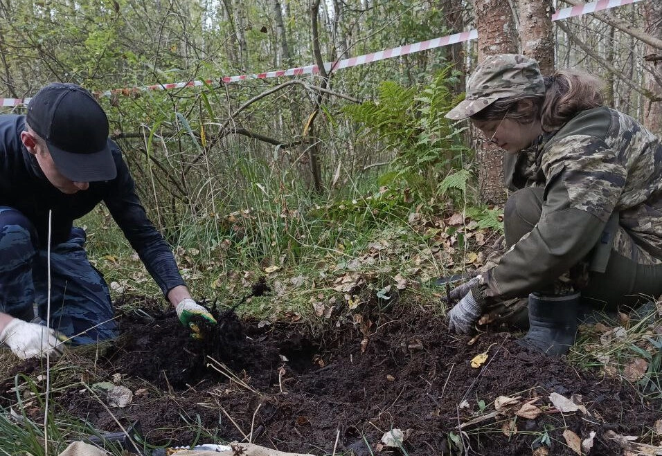 Петербургские активисты установили места погребения 2500 советских солдат в 2025 году - tvspb.ru