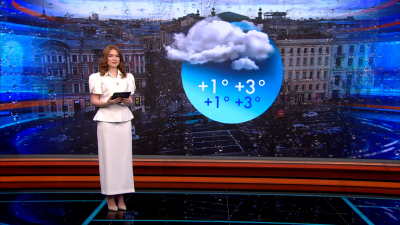 Небольшое потепление и дожди: какая погода ждет Петербург 29 ноября