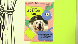 «Добрый Гав»: масштабная благотворительная акция ко Дню защиты животных