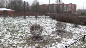 Зелёный переезд на зимние «квартиры»