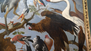 «Класс зверей и птиц, а также цветов и плодов»: школа живописцев XVIII века на выставке в Музее Академии художеств