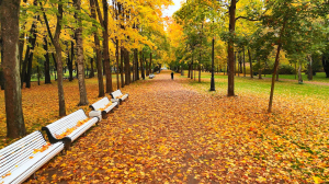 Пульс города. День народного единства, невоплощенный Ленинград, взгляд на революцию из окна Зимнего дворца. 7 ноября 2025