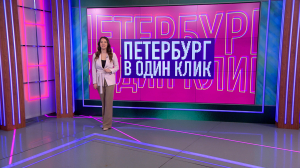 Петербург в один клик: Астропроделки и котики, самый творческий ЖКС, тыква для Хаарчааны и важный пеликан Полкан — что отметили петербуржцы в своих соцсетях