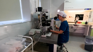 Когда природа говорит «нет», врачи успокаивают «будем пробовать»: где в Петербурге помогают стать мамами