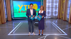 Утро в Петербурге 24 ноября