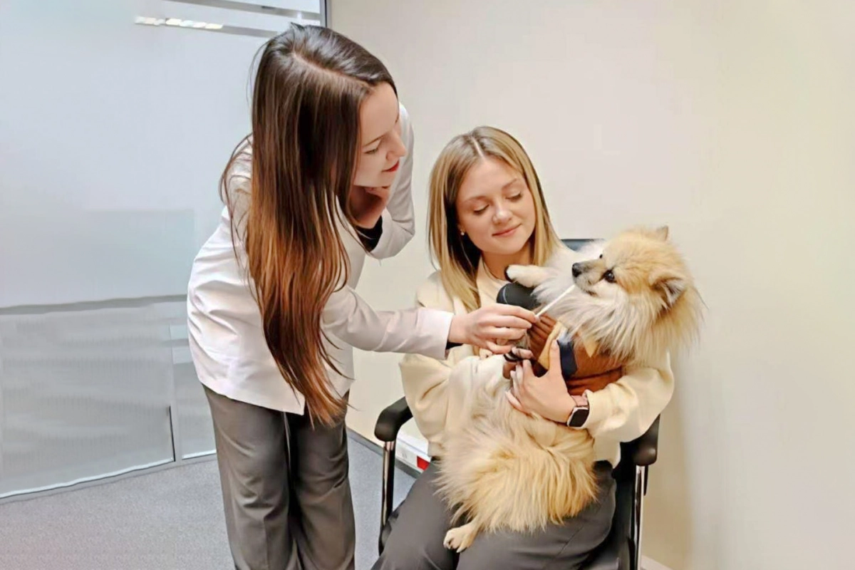 Александр Беглов: В Петербурге повысится доступность диагностики состояния здоровья питомцев с вводом новой экспресс-системы - tvspb.ru