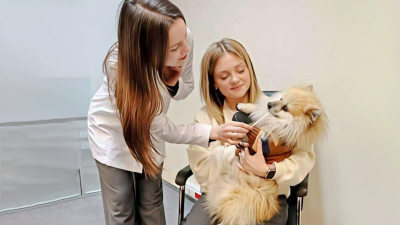 Александр Беглов: В Петербурге повысится доступность диагностики состояния здоровья питомцев с вводом новой экспресс-системы