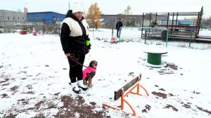 Собака не будет кусачей: важность уроков на площадке не только для спокойствия хозяина, но и для здоровья питомца