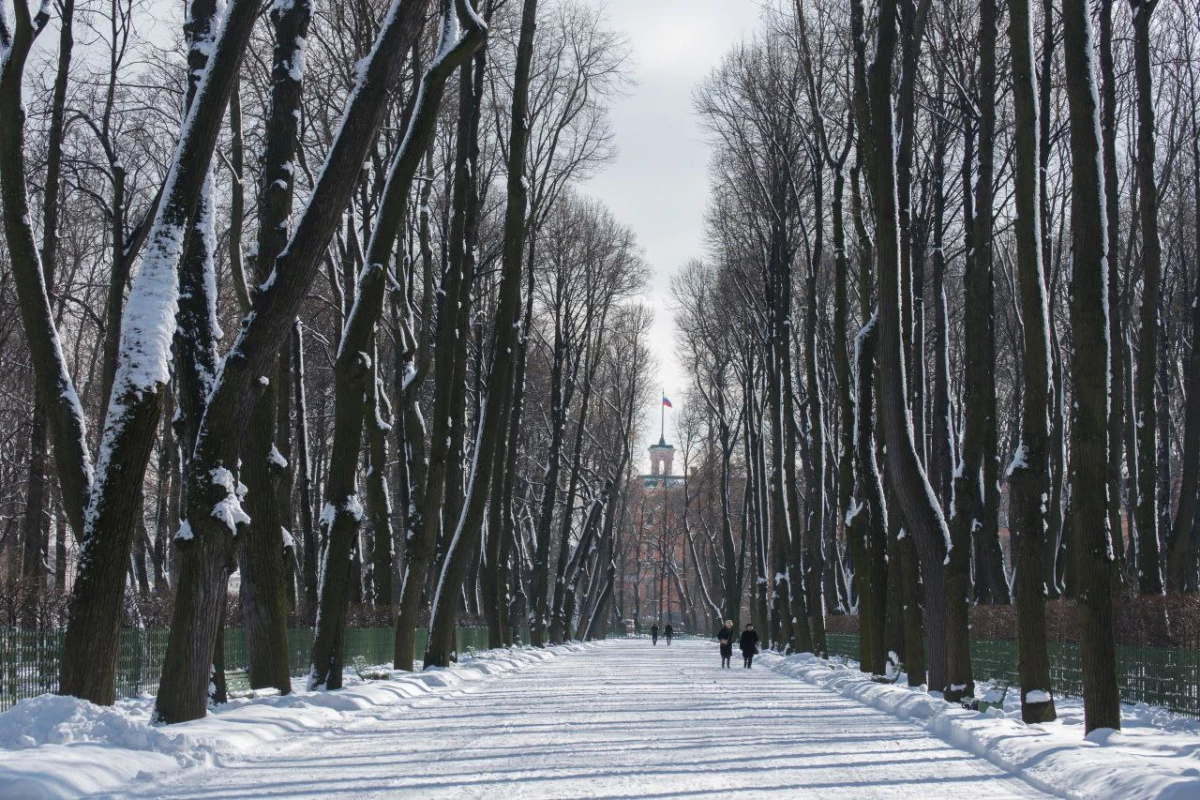 С 19 ноября Летний сад перешел на зимний режим работы - tvspb.ru