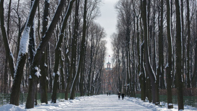 С 19 ноября Летний сад перешел на зимний режим работы