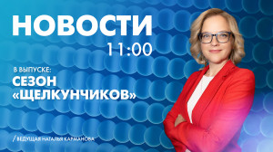 Новости Петербурга к 11:00