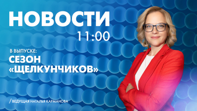 Новости Петербурга к 11:00
