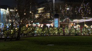 В год красной огненной лошади узнаем, что петербуржцы помнят о знаменитых конях, литературных «лошадиных» цитатах и поговорках