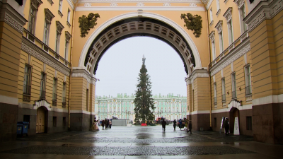 Начался обратный отсчет до Нового года: главную ёлку Северной столицы наряжают на Дворцовой площади