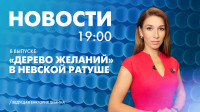 Новости Петербурга к 19:00