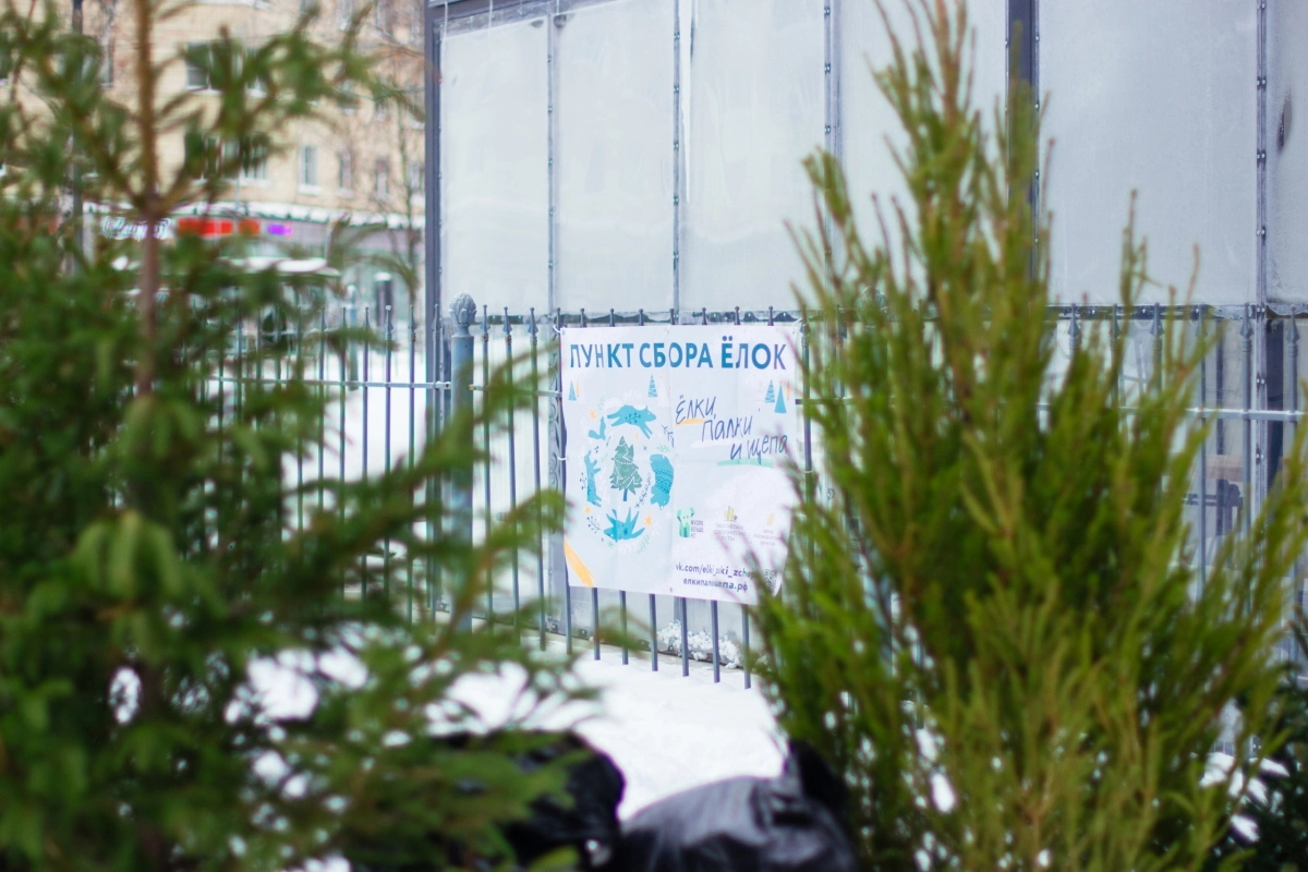 Александр Беглов: Акция «Ёлки, палки, щепа» – пример осознанного потребления, заботы о природе и бережного отношения к ресурсам - tvspb.ru