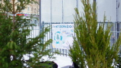 Александр Беглов: Акция «Ёлки, палки, щепа» – пример осознанного потребления, заботы о природе и бережного отношения к ресурсам