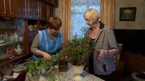 Забота о пожилых. Социальное обслуживание на дому