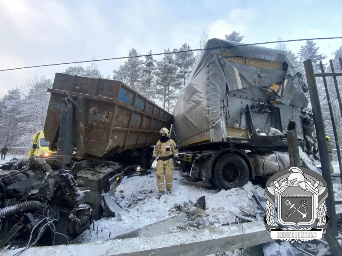 Два грузовика и легковая машина столкнулись на встречке во Всеволожском районе: движение перекрыто - tvspb.ru