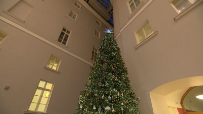 Эрмитаж открыл новогодний сезон зажжением «Елки Мира»