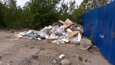 Александр Беглов: В 2025 году Петербург освободил от несанкционированных свалок территорию размером в пять Дворцовых площадей