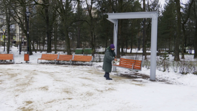 Петербуржцам показали, как приводят в порядок скверы в непостоянную погоду