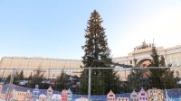 Из года в год любимое украшение: на Дворцовой площади украшают главную городскую ель