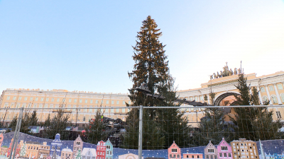Из года в год любимое украшение: на Дворцовой площади украшают главную городскую ель
