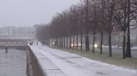 Синоптик Куткевич: Петербуржцев в Новый год ждет тихая, но морозная погода