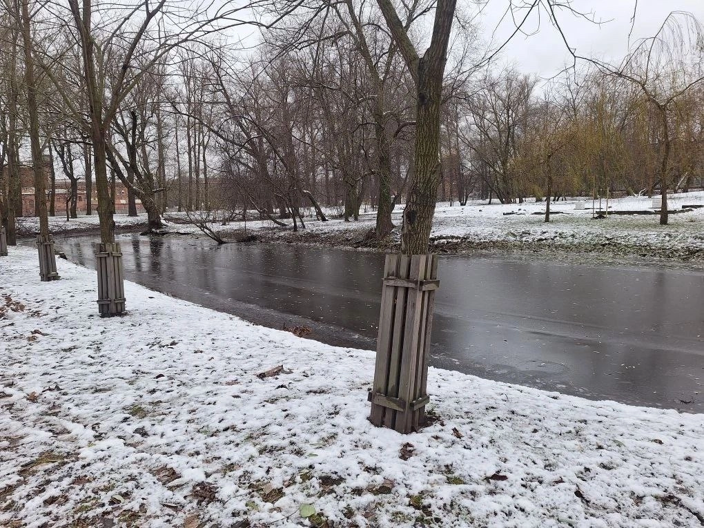 Сотрудники парка Екатерингоф защитили деревья от бобров - tvspb.ru