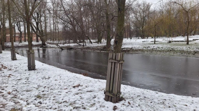 Сотрудники парка Екатерингоф защитили деревья от бобров