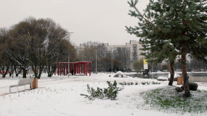 Сенсорный сад на берегу родникового озера, общественный огород в Кронштадте и ожившая сказка в Зеленогорске. Новые общественные пространства Санкт-Петербурга