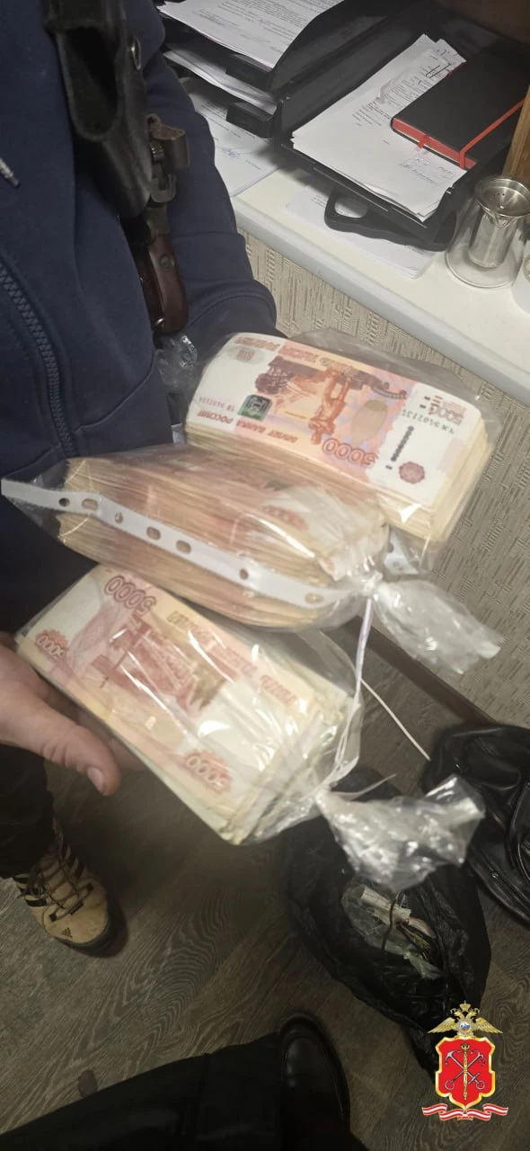 В Петербурге задержали курьера мошенников, который забрал 2 млн рублей у 85-летнего пенсионера - tvspb.ru