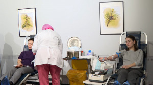 Культурное донорство в библиотеке