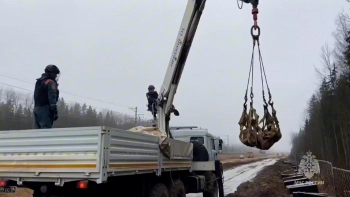 8 авиабомб и более сотни мин обезвредили петербургские спасатели