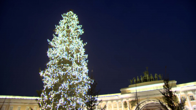 Дворцовая площадь сияет: главную ель Северной столицы украшают «игрушками из детства»