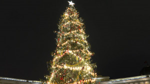 Да будет праздник: последние приготовления к церемонии зажжения главной ёлки города и открытая студия телеканала «Санкт-Петербург»