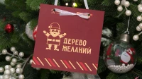 Более тысячи детских мечт будет исполнено в рамках «Дерева желаний»